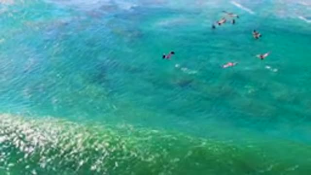 LA BOCANA BCS MEXICO-2022: Flock of Birds Flying over Ocean Waves