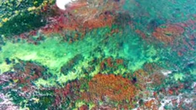 LA BOCANA BCS MEXICO-2022: Shallow Ocean Waters over Colorful Rocky Seabed