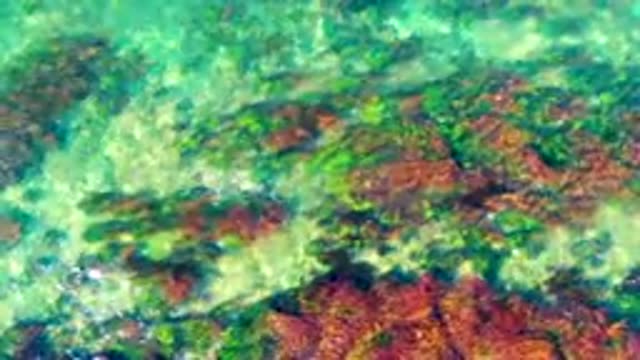 LA BOCANA BCS MEXICO-2022: Clear Shallow Water Over Colorful Seabed Rocks