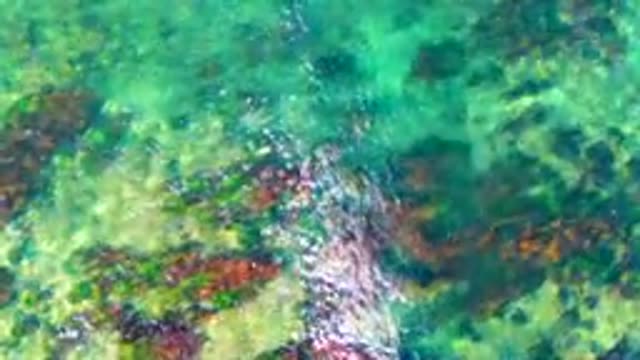 LA BOCANA BCS MEXICO-2022: Shallow Turquoise Water Over Rocky Seabed