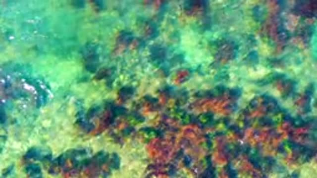 LA BOCANA BCS MEXICO-2022: Shallow Turquoise Water Over Rocky Seabed