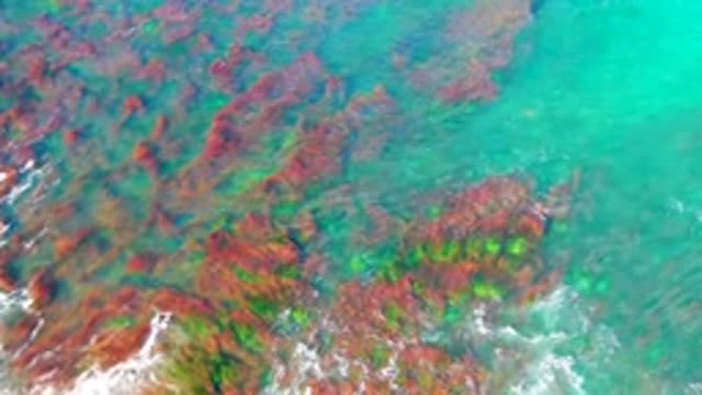 LA BOCANA BCS MEXICO-2022: Coastal Rocks and Turquoise Water with Gentle Waves