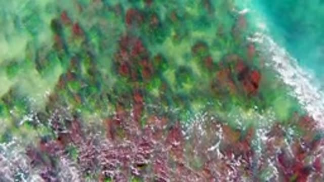 LA BOCANA BCS MEXICO-2022: Ocean Waves Breaking Over Rocky Seabed