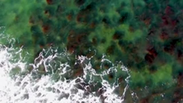 LA BOCANA BCS MEXICO-2022: Waves Breaking on Seaweed-Adorned Ocean Floor