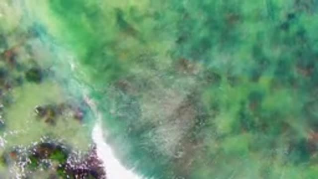 LA BOCANA BCS MEXICO-2022: Coral Reefs Under Clear Ocean Water with Waves