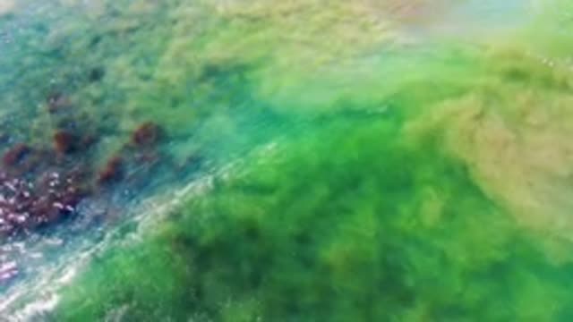 LA BOCANA BCS MEXICO-2022: Moving Green Algae and Submerged Rocks in Clear Water