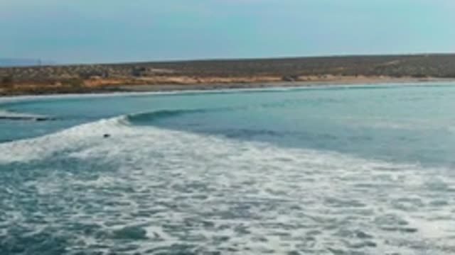 LA BOCANA BCS MEXICO-2022: Surfer Riding a Breaking Ocean Wave