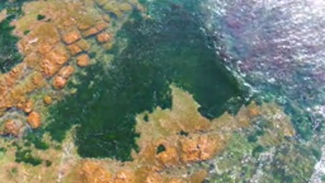 LA BOCANA BCS MEXICO-2022: Rising Tide on Rocky Shore with Green Algae