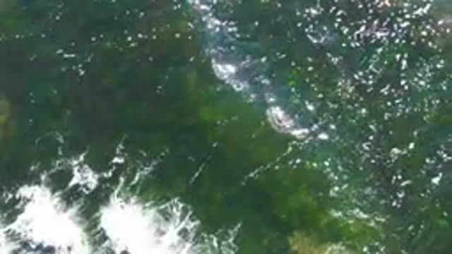 LA BOCANA BCS MEXICO-2022: Clear Ocean Water with Shifting White Foam