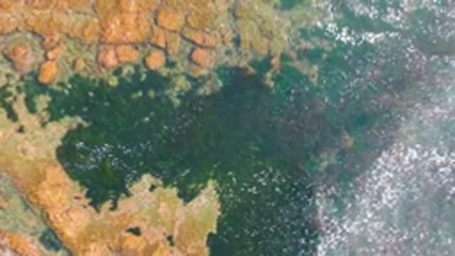 LA BOCANA BCS MEXICO-2022: Shifting Water and Foam on Rocky Shore