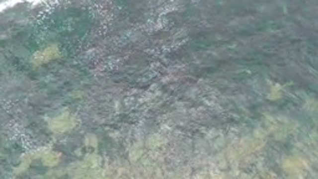 LA BOCANA BCS MEXICO-2022: Rippling Shallow Water with Submerged Vegetation
