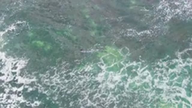 LA BOCANA BCS MEXICO-2022: Person Swimming Through Shallow Ocean Waves