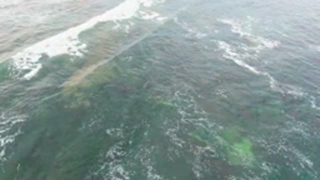 LA BOCANA BCS MEXICO-2022: Whale Gliding Beneath Ocean Surface