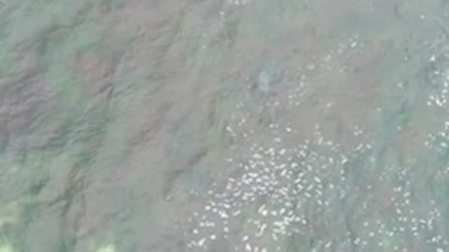 LA BOCANA BCS MEXICO-2022: Rippling Water Surface with Sunlight Glints