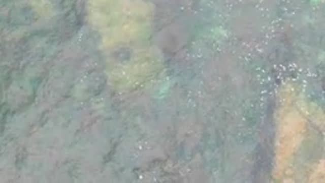 LA BOCANA BCS MEXICO-2022: Rippling Clear Water Over Rocky Seabed