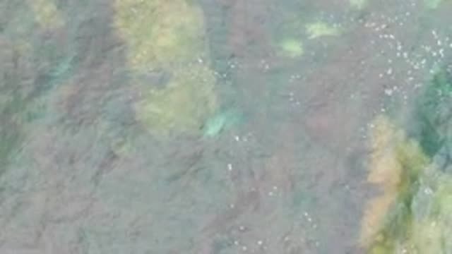 LA BOCANA BCS MEXICO-2022: Wave Breaking in Shallow Clear Ocean Water