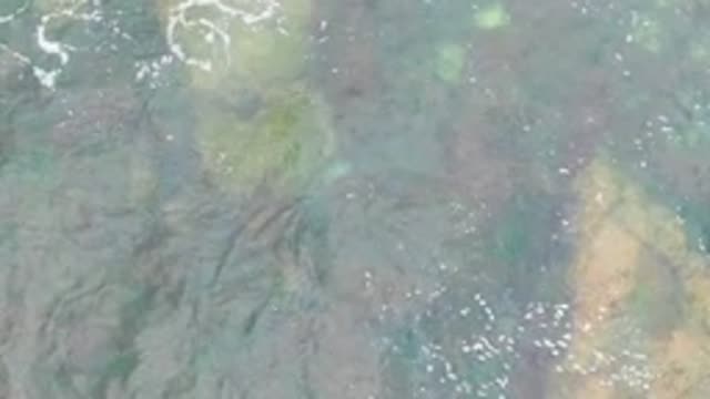 LA BOCANA BCS MEXICO-2022: Shallow Clear Water Over Rocky Seabed