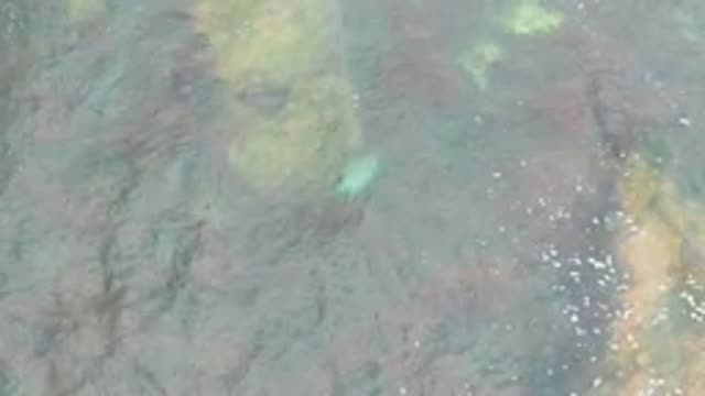 LA BOCANA BCS MEXICO-2022: Rippling Water Over Rocky Seabed