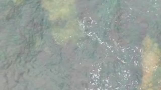 LA BOCANA BCS MEXICO-2022: Shifting White Foam on Shallow Water Surface