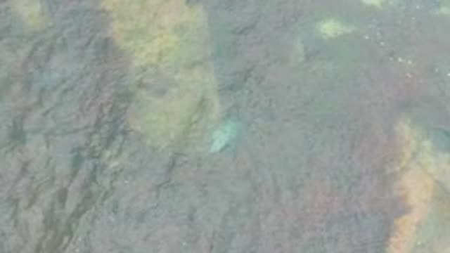 LA BOCANA BCS MEXICO-2022: Shallow Ocean Water with Moving Waves and Colorful Seabed