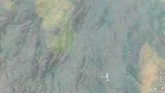 LA BOCANA BCS MEXICO-2022: Clear Shallow Water with Visible Seabed and Ripples