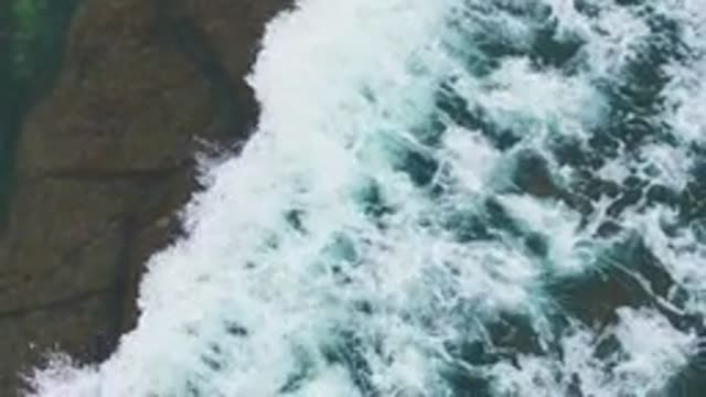 LA BOCANA BCS MEXICO-2022: Seal on Rocky Shore As Waves Crash