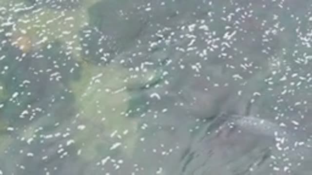 LA BOCANA BCS MEXICO-2022: Rippling Clear Water Over Rocky Seabed