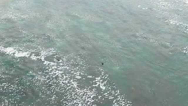 LA BOCANA BCS MEXICO-2022: Swimmers Moving in Turquoise Ocean Waters