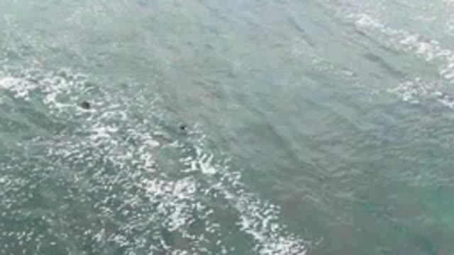 LA BOCANA BCS MEXICO-2022: Two Swimmers Navigating Ocean Surface