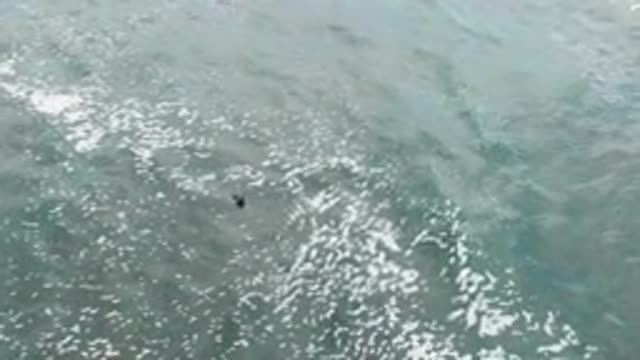 LA BOCANA BCS MEXICO-2022: Small Dark Object Drifting in Ocean Waves