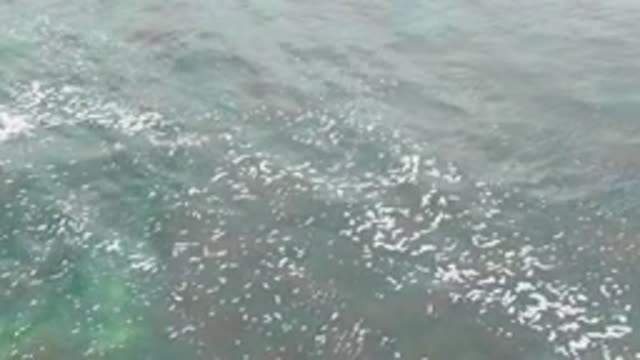 LA BOCANA BCS MEXICO-2022: Gentle Ocean Ripples with White Foam on Surface