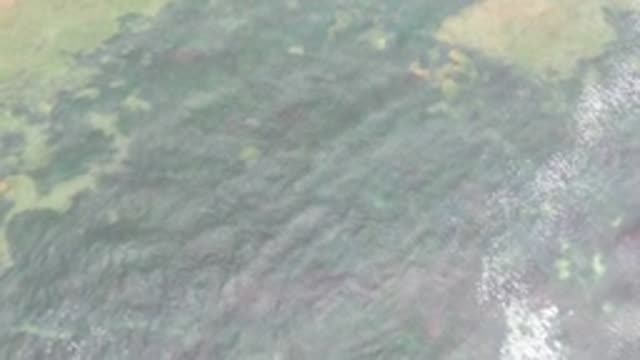 LA BOCANA BCS MEXICO-2022: Dissolving Forest Pattern on Snowy Terrain