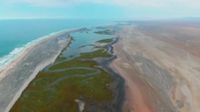 PUENTA ABREOJOS BCS MEXICO-2022: Coastal Wetland Between Ocean and Arid Shore