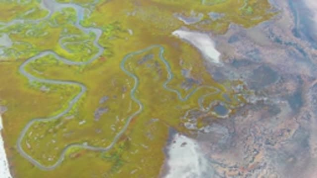 PUENTA ABREOJOS BCS MEXICO-2022: Meandering Water Channels in Tundra Wetland