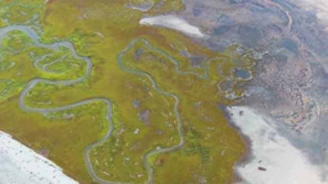 PUENTA ABREOJOS BCS MEXICO-2022: Meandering Tundra Streams and Bird Movement