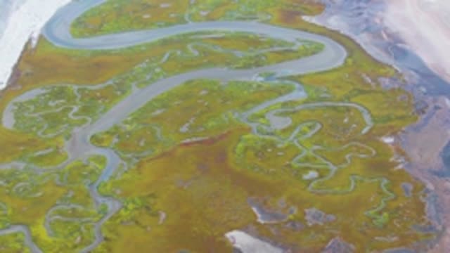 PUENTA ABREOJOS BCS MEXICO-2022: Meandering River Flowing Through Tundra Wetlands