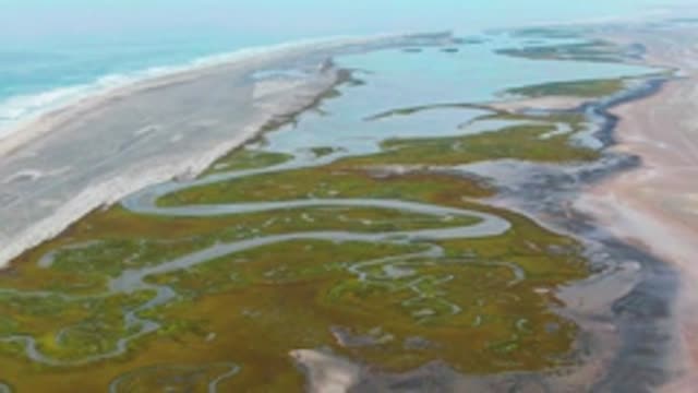 PUENTA ABREOJOS BCS MEXICO-2022: Wetland Waterways Along Sandy Coastline