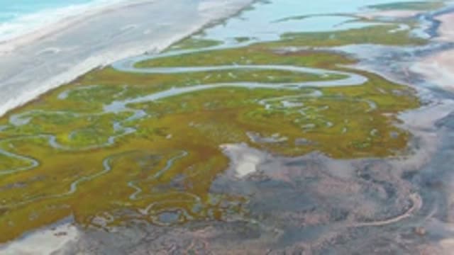 PUENTA ABREOJOS BCS MEXICO-2022: Tidal Marsh Water Channels in Motion
