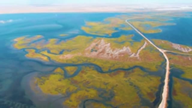 GUERRERO NEGRO BCS MEXICO-2022: Wetland Landscape with Winding Dirt Road