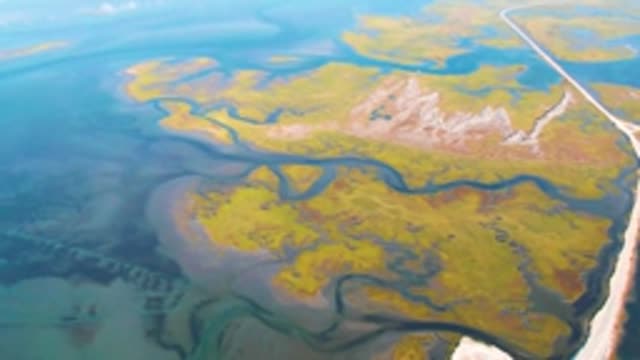 GUERRERO NEGRO BCS MEXICO-2022: Coastal Wetlands and Road From Above