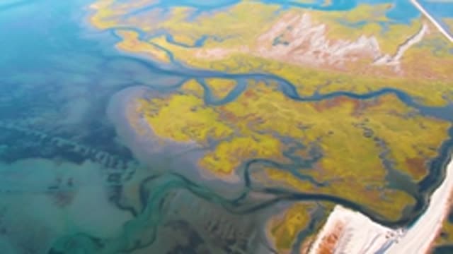 GUERRERO NEGRO BCS MEXICO-2022: Winding River Through Colorful Tundra
