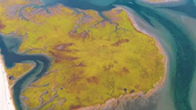 GUERRERO NEGRO BCS MEXICO-2022: Tidal Flat and Shifting Water Channels