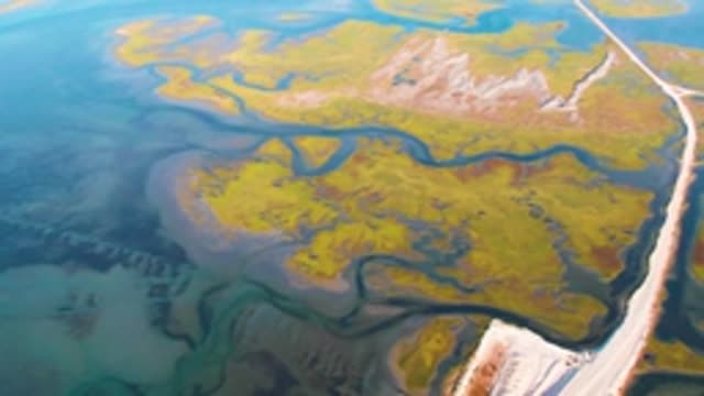 GUERRERO NEGRO BCS MEXICO-2022: Wetland Delta with Winding Road and Water Channels
