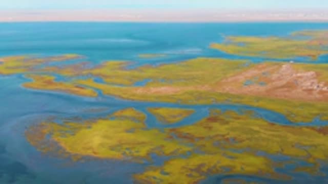 GUERRERO NEGRO BCS MEXICO-2022: Bird in Flight Over Coastal Wetlands