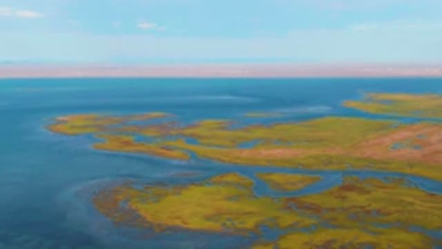 GUERRERO NEGRO BCS MEXICO-2022: Interwoven Water Channels in a Green Wetland