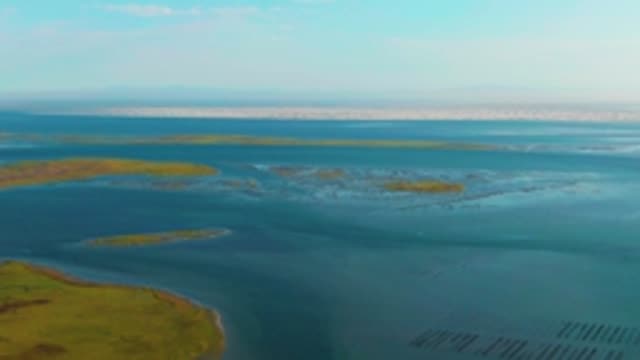 GUERRERO NEGRO BCS MEXICO-2022: Coastal Wetlands and Shallow Waterways