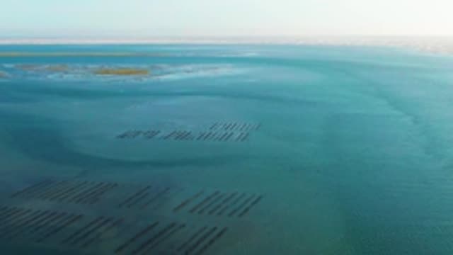 GUERRERO NEGRO BCS MEXICO-2022: Shallow Coastal Waters with Aquaculture Farms and Islands