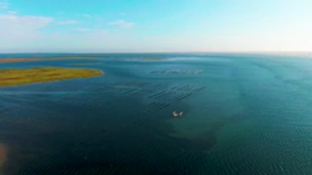 GUERRERO NEGRO BCS MEXICO-2022: Coastal Aquaculture Farm with Boats Moving