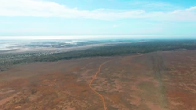 GUERRERO NEGRO BCS MEXICO-2022: Dirt Road Cutting Through Arid Field and Tree Line