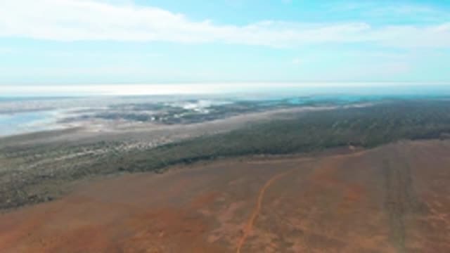 GUERRERO NEGRO BCS MEXICO-2022: Coastal Landscape with Forest and Arid Terrain